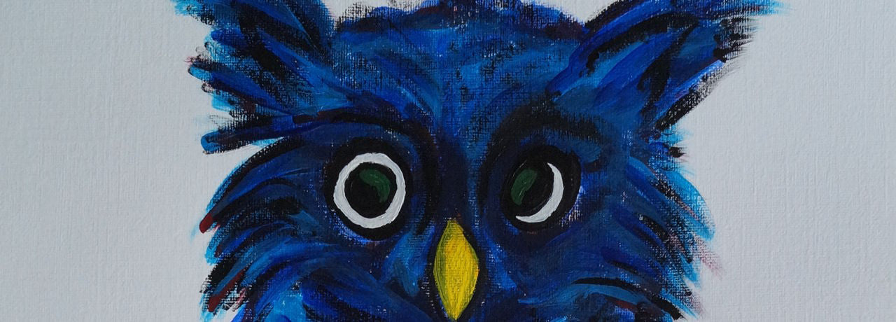 Who's watching you? Check out Blue Owl!